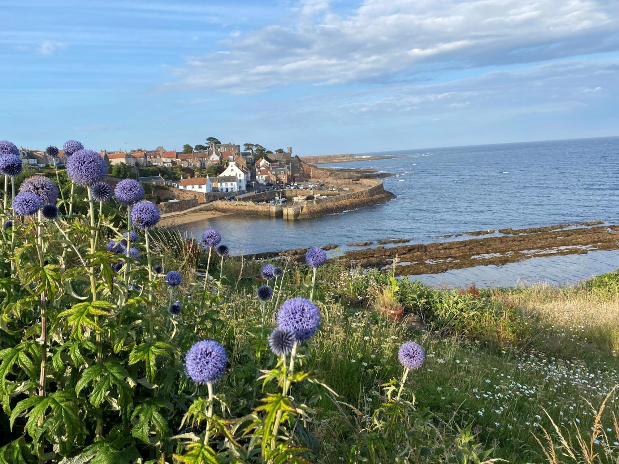 Seagull'S Rest Apartment Crail Exterior photo